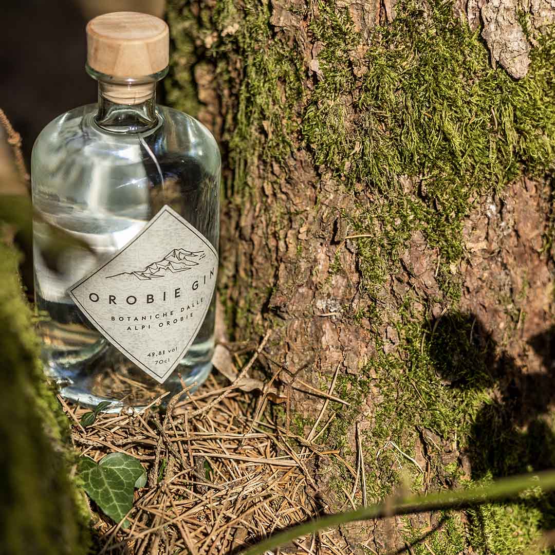 OROBIE GIN 20cl – LONDON DRY GIN PREMIUM CON BOTANICHE DALLE ALPI OROBIE - immagine 3
