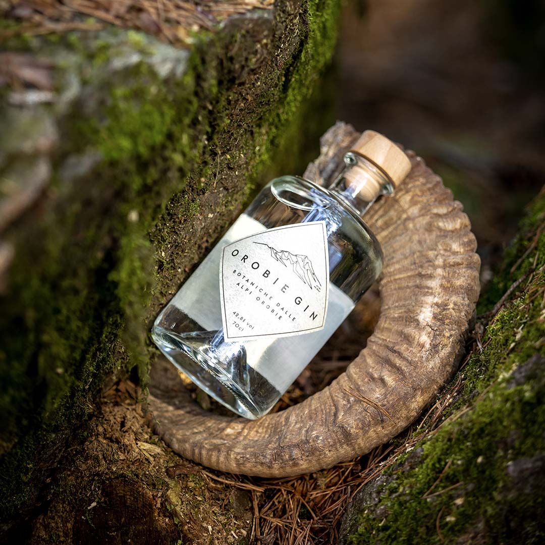 OROBIE GIN 20cl – LONDON DRY GIN PREMIUM CON BOTANICHE DALLE ALPI OROBIE - immagine 5